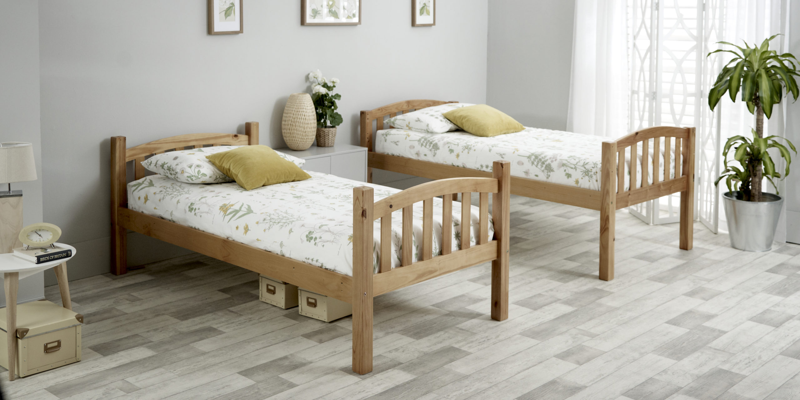 mya pine split mya pine split