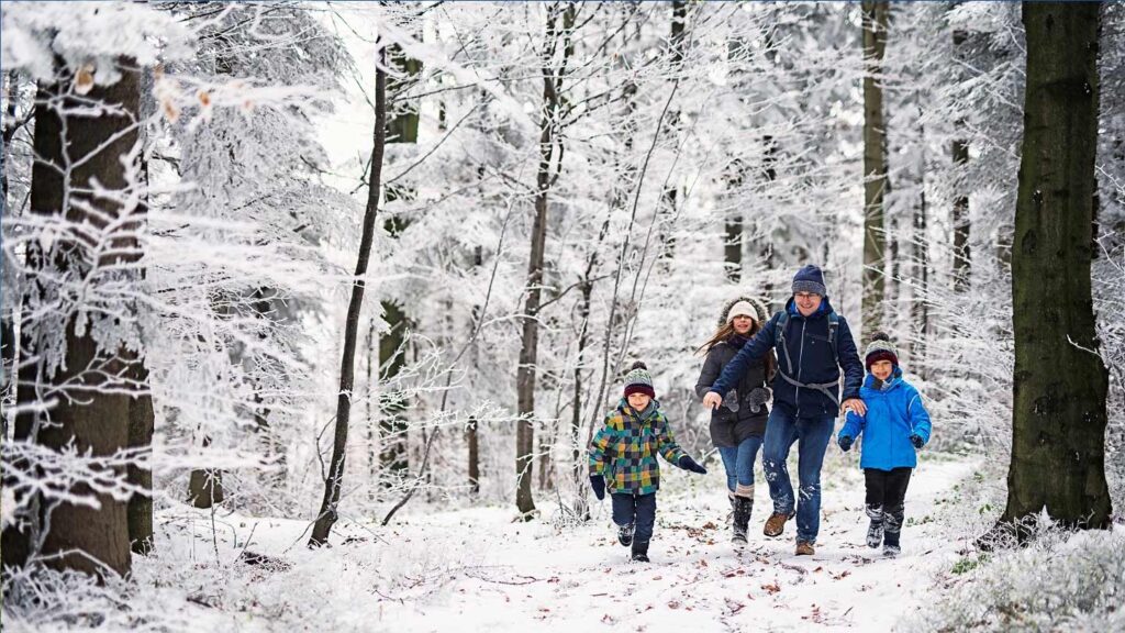 family walking in snowy woods istock 629724766 imgorthand family walking in snowy woods istock 629724766 imgorthand